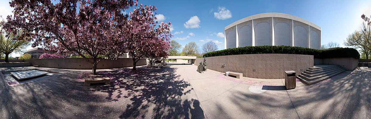 Sheldon Museum of Art, spring trees